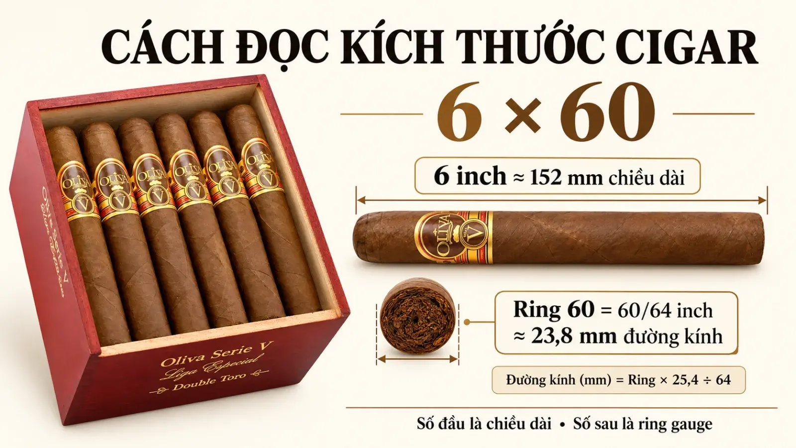 Hướng dẫn đọc kích thước cigar 6 x 60: chiều dài 6 inch và đường kính ring 60 bằng ảnh Oliva Serie V Double Toro thật