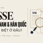 ESSE Việt Nam và ESSE Hàn Quốc: khác biệt nằm ở đâu?