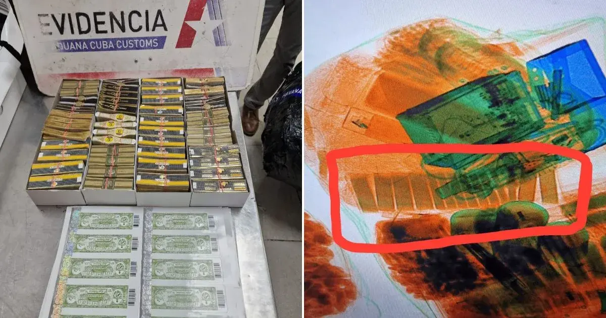 Hải quan Cuba công bố hơn 26.000 tem và vòng band cigar giả