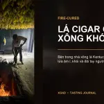 Fire-Cured Là Gì? Vì Sao Lá Cigar Cũng Được Xông Khói?