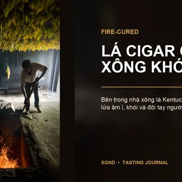 Fire-Cured Là Gì? Vì Sao Lá Cigar Cũng Được Xông Khói?