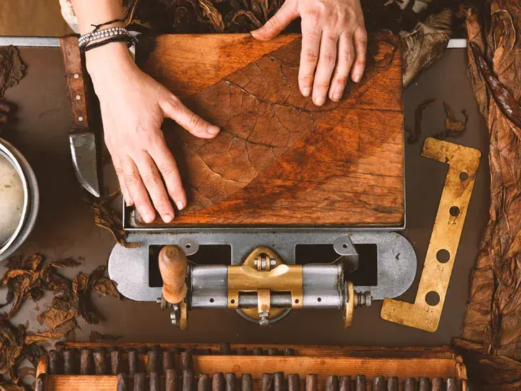 Đôi tay sigaraia định hình wrapper cigar Toscano