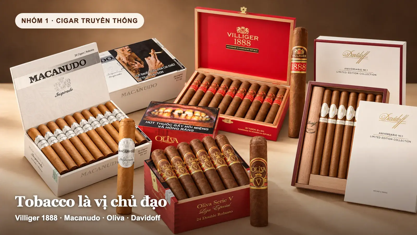 Cụm cigar truyền thống gồm Villiger 1888, Macanudo, Oliva và Davidoff với hộp và điếu lớn.