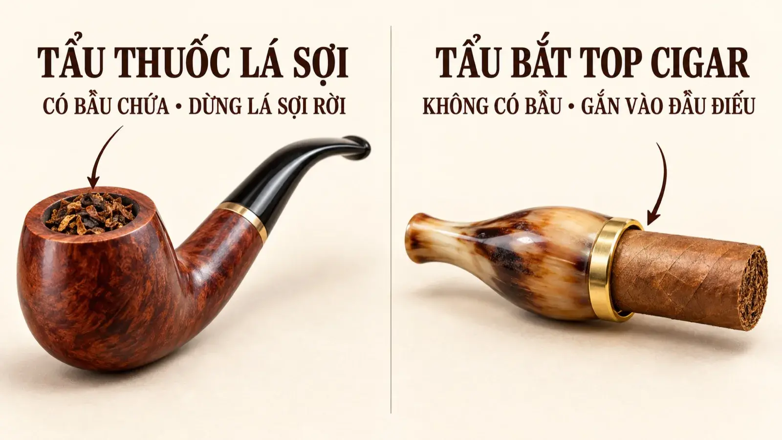 Infographic phân biệt tẩu thuốc lá sợi có bầu chứa với tẩu bắt top gắn đúng chiều vào đầu điếu cigar