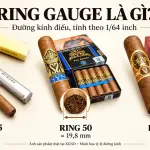 Ring xì gà là gì? Cách đọc kích thước cigar