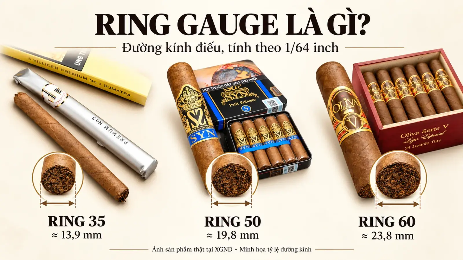 So sánh ring xì gà 35, 50 và 60 bằng ảnh cigar thật tại XGND, kèm đường kính quy đổi sang milimét