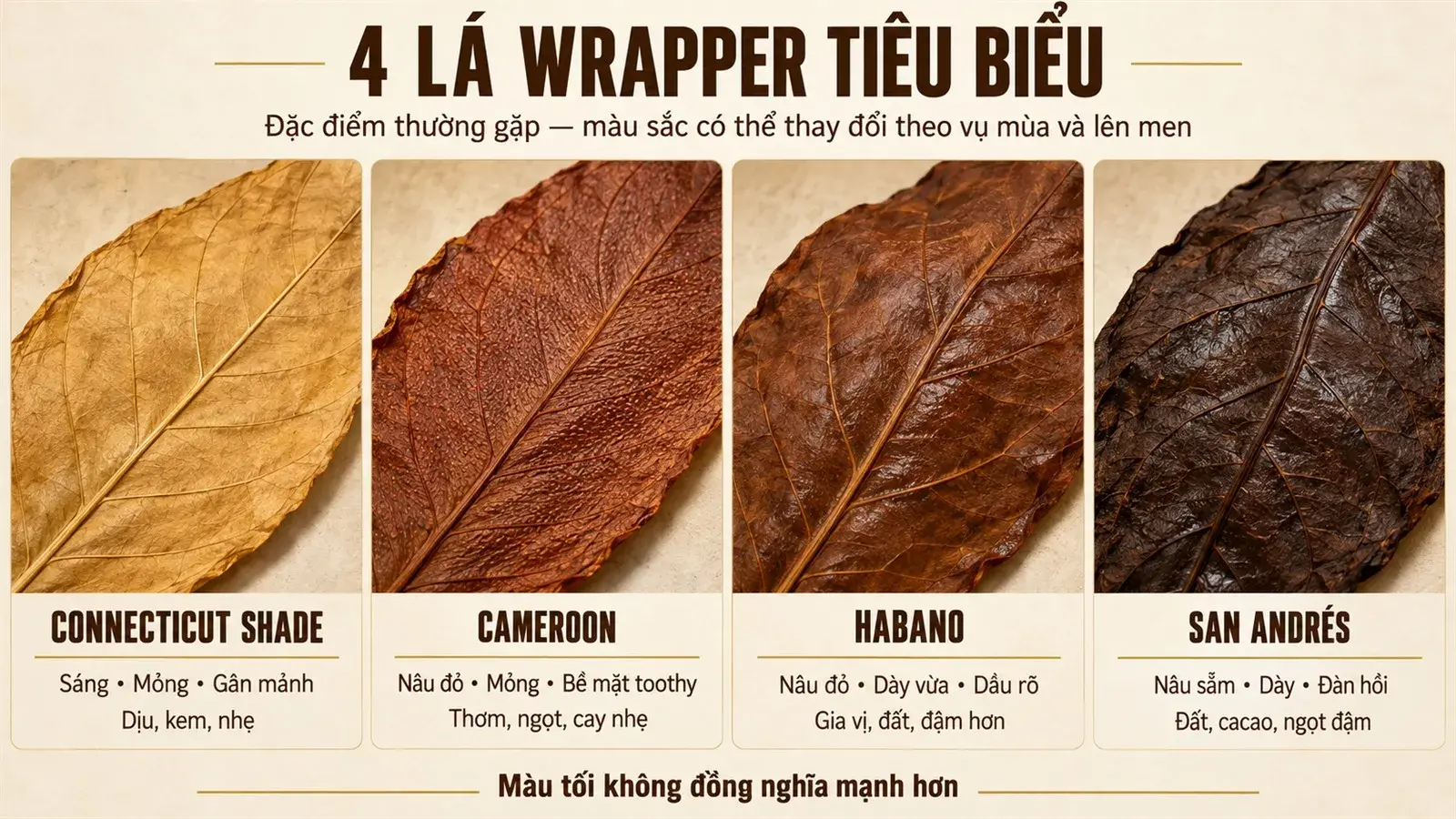 So sánh bốn lá wrapper cigar Connecticut Shade sáng mỏng, Cameroon nâu đỏ toothy, Habano nâu đỏ dầu rõ và San Andrés nâu sẫm dày đàn hồi
