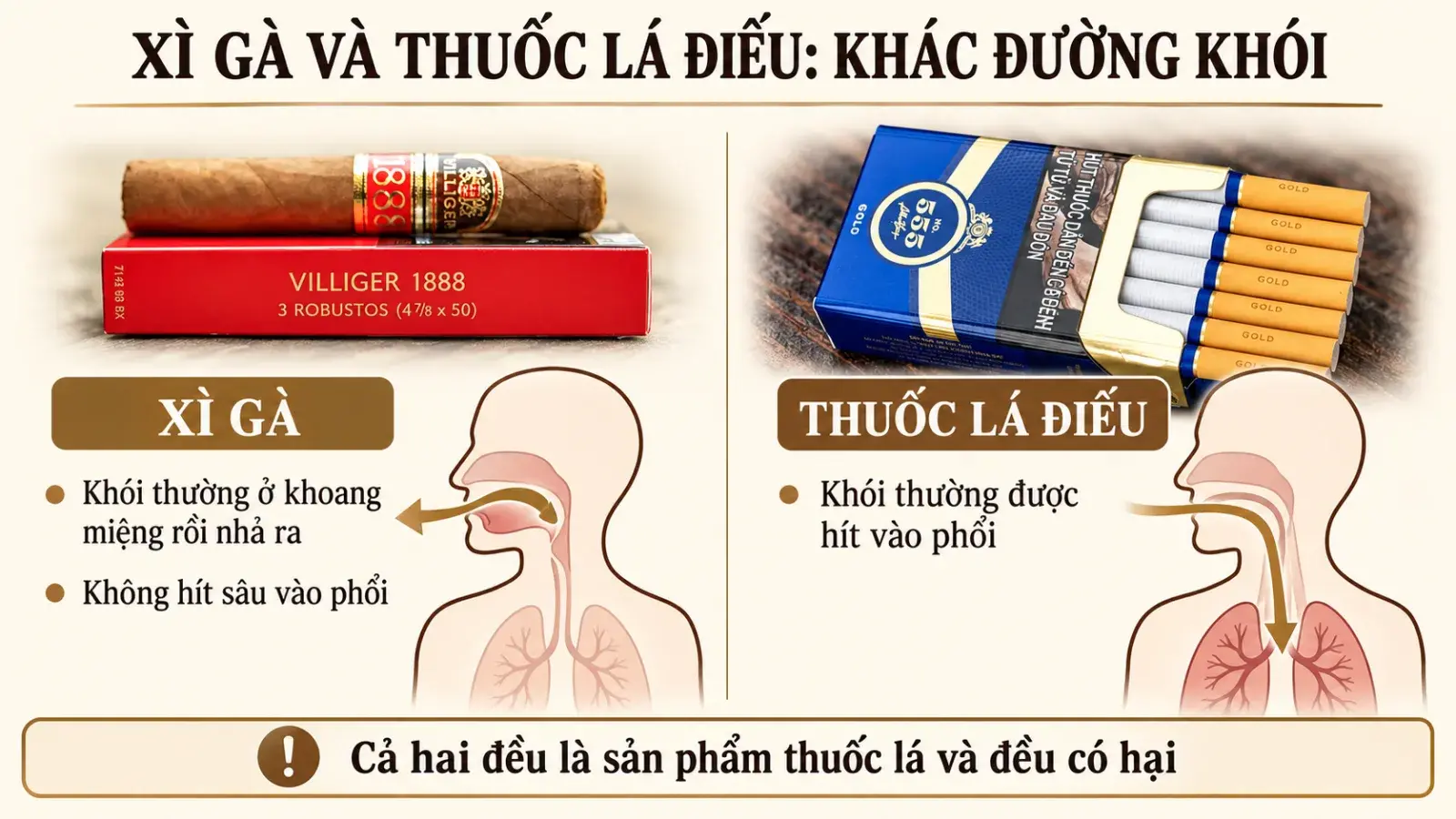 So sánh đường đi của khói xì gà ở khoang miệng với khói thuốc lá điếu thường được hít vào phổi bằng ảnh sản phẩm thật