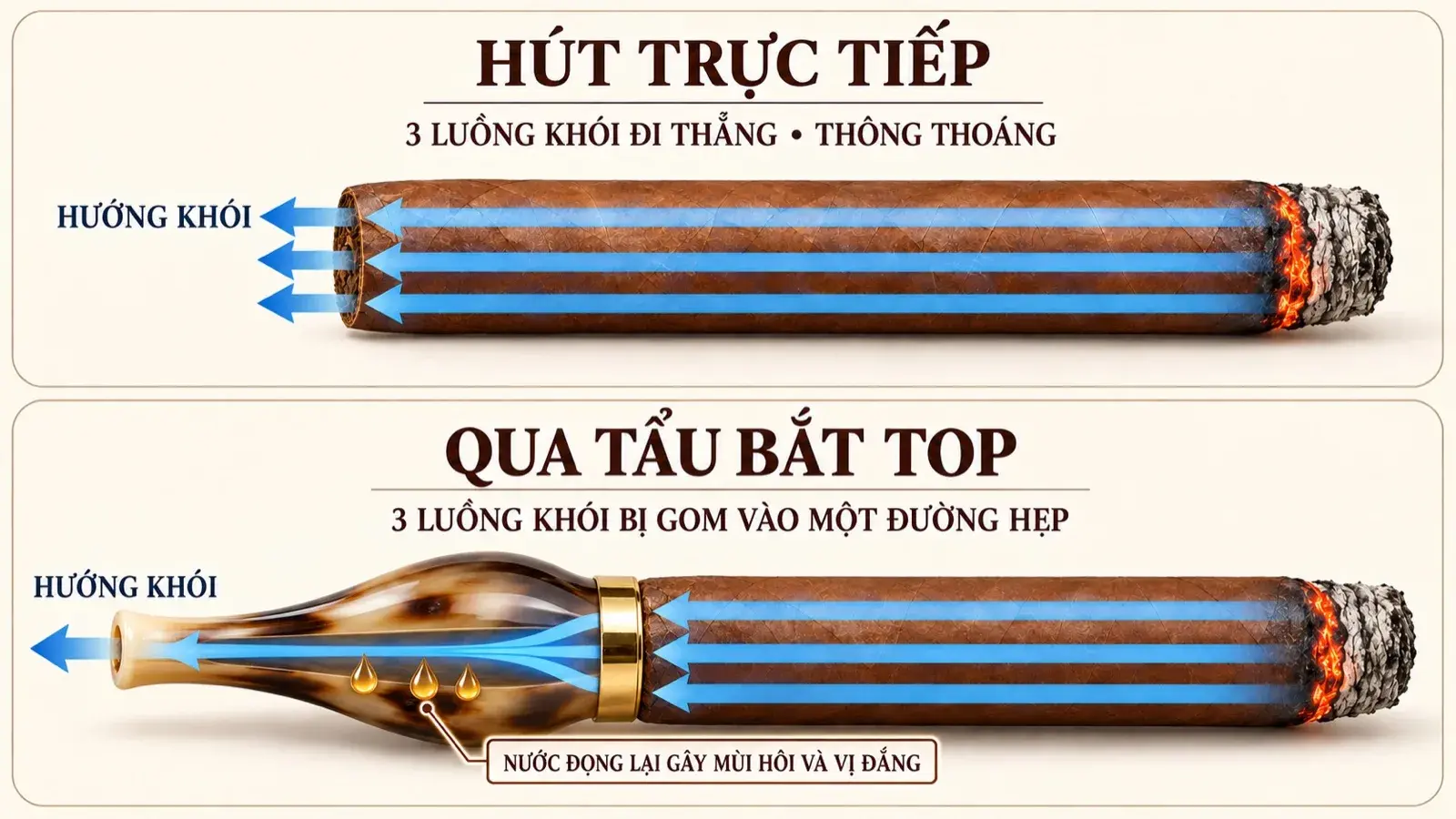 Infographic ba luồng khói đi thẳng khi hút cigar trực tiếp và bị gom vào đường hẹp khi qua tẩu bắt top, kèm nước đọng gây mùi hôi và vị đắng