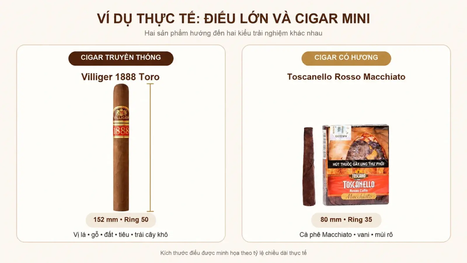 So sánh Villiger 1888 Toro truyền thống với điếu và hộp Toscanello Rosso Macchiato có hương