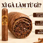Xì gà làm từ gì? Cấu tạo 3 lớp lá trong một điếu cigar