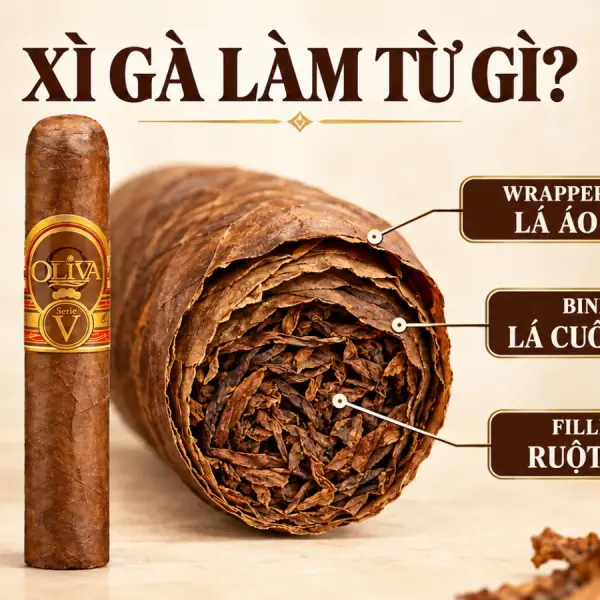 Xì gà làm từ gì? Cấu tạo 3 lớp lá trong một điếu cigar