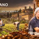 Cigar Toscano: Câu Chuyện 200 Năm Của Lửa, Nước Và Đôi Tay Người Ý