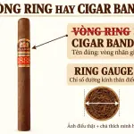 'Vòng ring' trên điếu xì gà? Gọi quen miệng nhưng sai tên rồi!