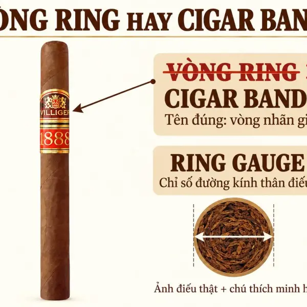 'Vòng ring' trên điếu xì gà? Gọi quen miệng nhưng sai tên rồi!