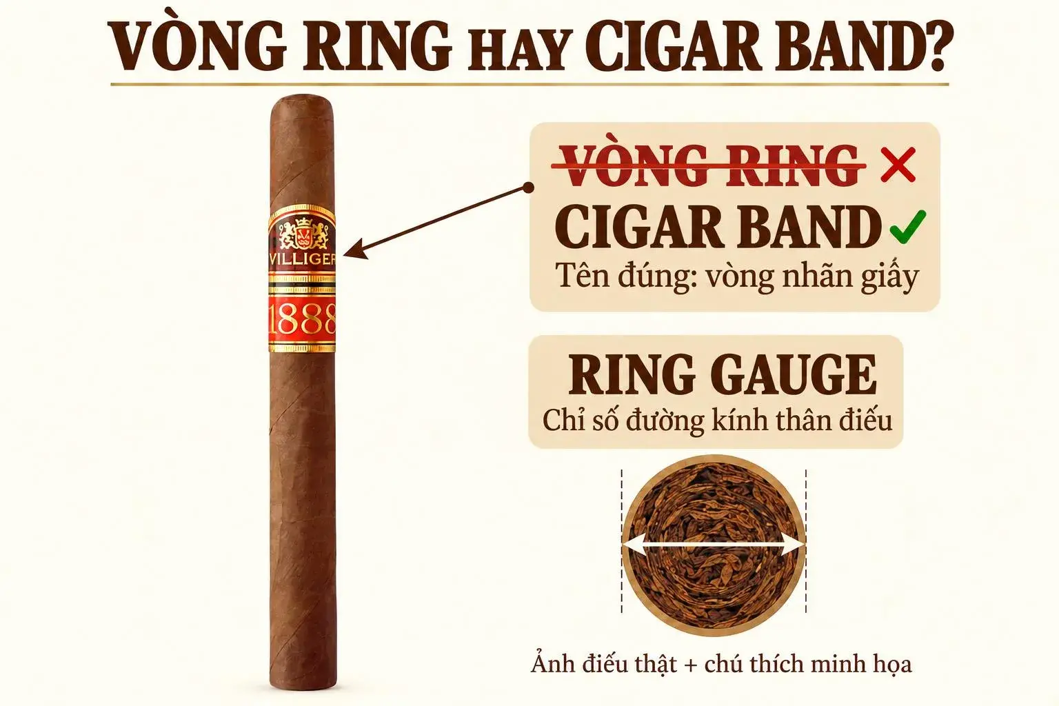 Infographic phân biệt Vòng Ring bị gạch sai, Cigar Band là vòng nhãn giấy và Ring Gauge là đường kính điếu xì gà