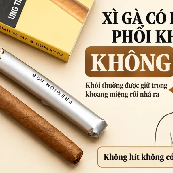 Xì gà có hít vào phổi không? Câu trả lời người mới cần biết