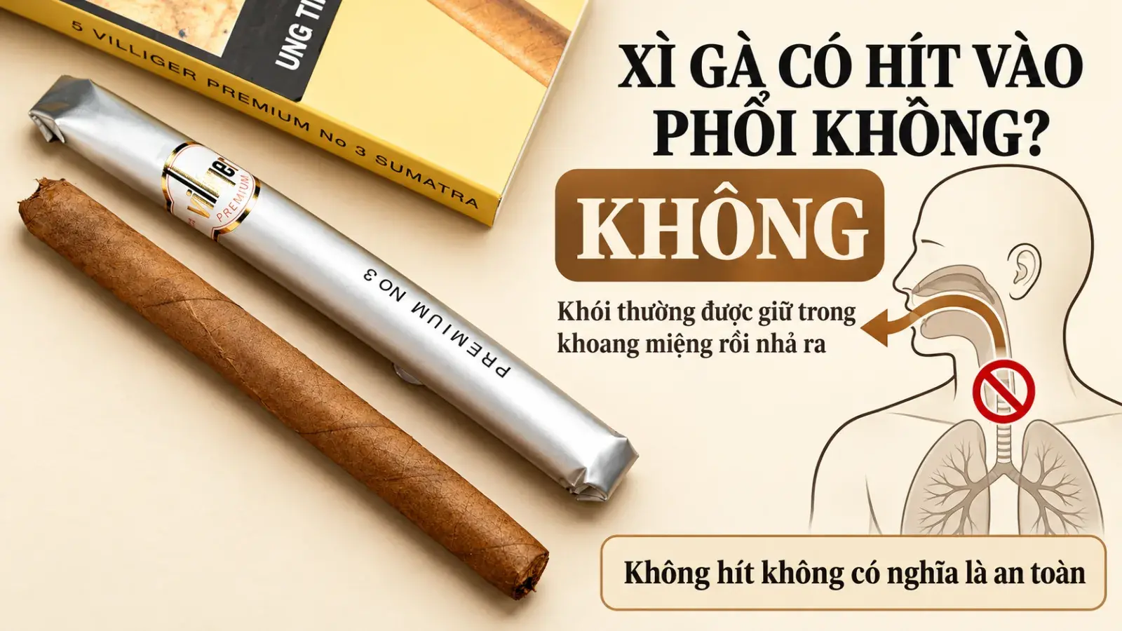 Infographic từ ảnh cigar thật trả lời xì gà không hít khói sâu vào phổi; khói thường được giữ trong khoang miệng rồi nhả ra